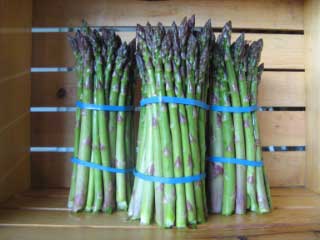 Asparagus No Label
