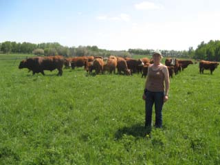 Elna with cows in pasture