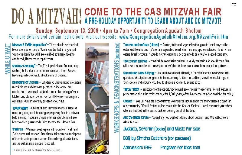 Mitzvah Fair write up