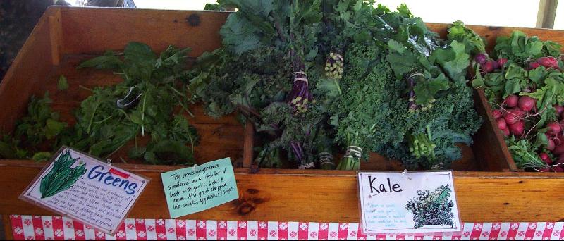 kale in shed