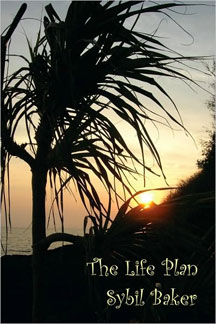 The Life Plan by Sybil Baker