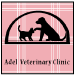 Ael Vet Clinic