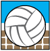 Volleyball Mini