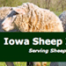 ISIA Annual Iowa Sheep & Wool Festival 