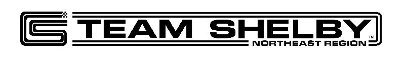 TS Logo Rectangle
