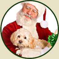 Santa with Dog