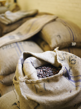 Jute Bag of Cacao Beans Theochocolate.com