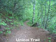 Unicoi Trail