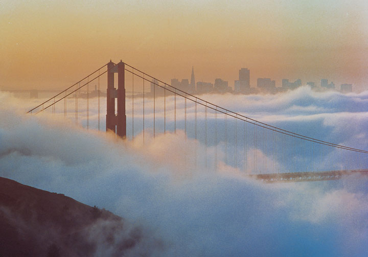 San Francisco Fog Motif