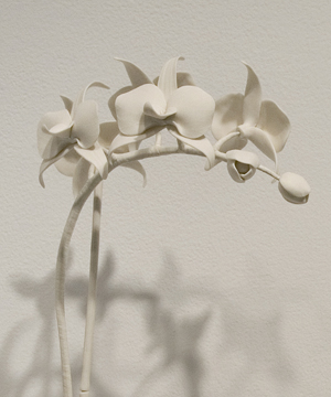 "Porcelain Orchid"