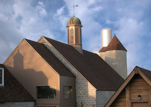 Roofline of dairy barn, now studios for artists, writers and composers