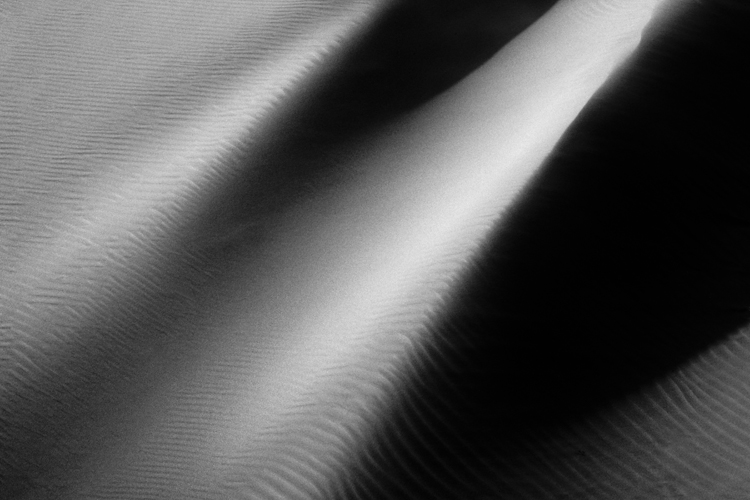 Dunes of Nude No. 39