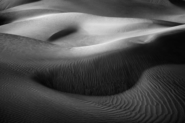 Dune Detail No 43