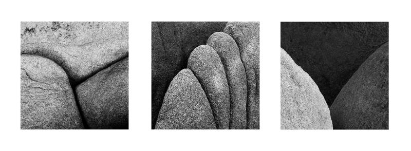 Joshua Tree Rock Detail Tryptic