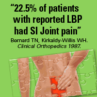 http://www.si-bone.com/si-joint-in-low-back-pain.html