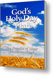 Holy Day Booklet