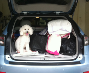 Austen trunk trip
