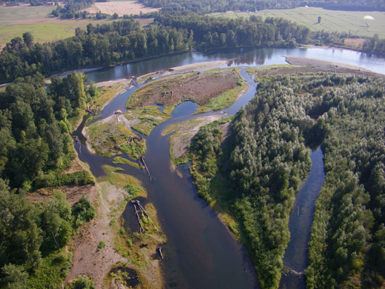 Aerial photo of Green Island floodplain - Willamette River. Photo by Marty Nill