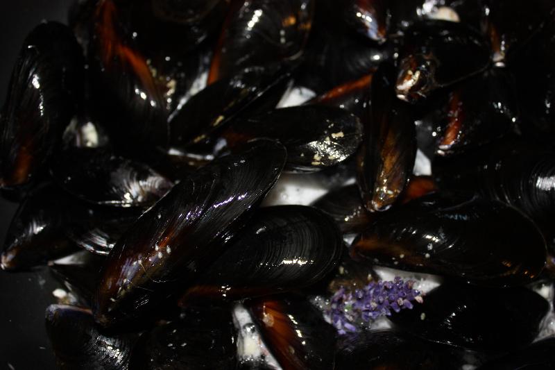 lavender mussels