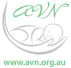 AVN logo