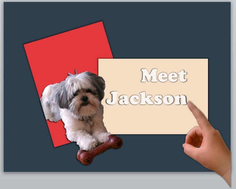 Meet Jackson