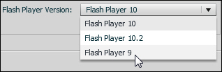 Flash Player Version drop-down menu.