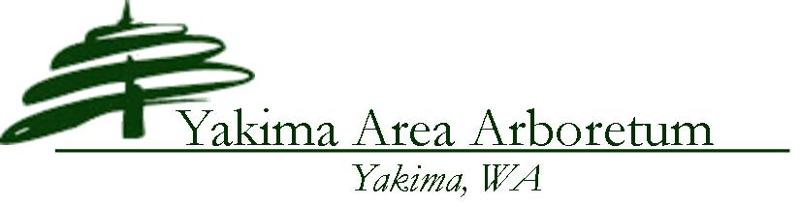 Logo Header YAA