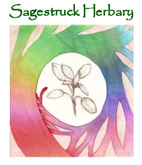 Sagestruck Herbary
