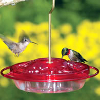 ruby-throated_hummingbird_feeder