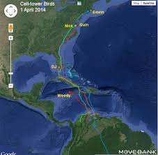 ospreytrax_map