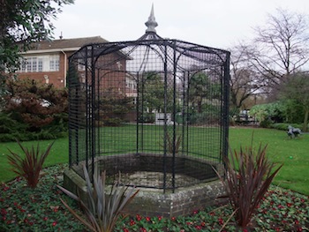 Raven's Cage
