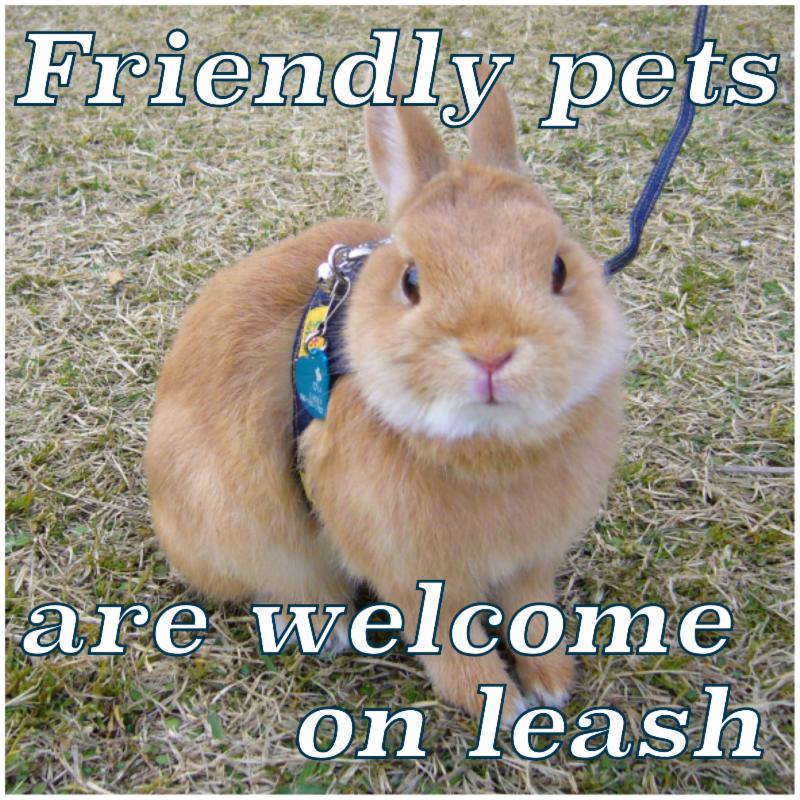 friendly pets are welcome on leash