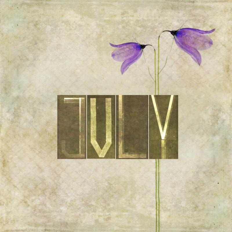 Earthy background and design element depicting the word for the month of July