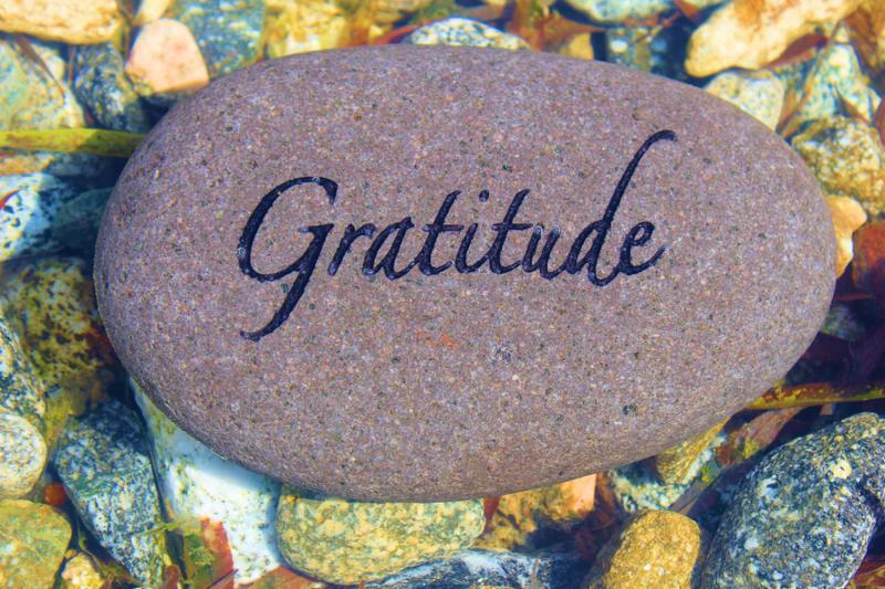 Word Gratitude engrained on a rock in a fresh water creek