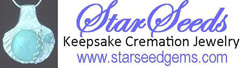 Star Seed Gem Studios Logo 2013