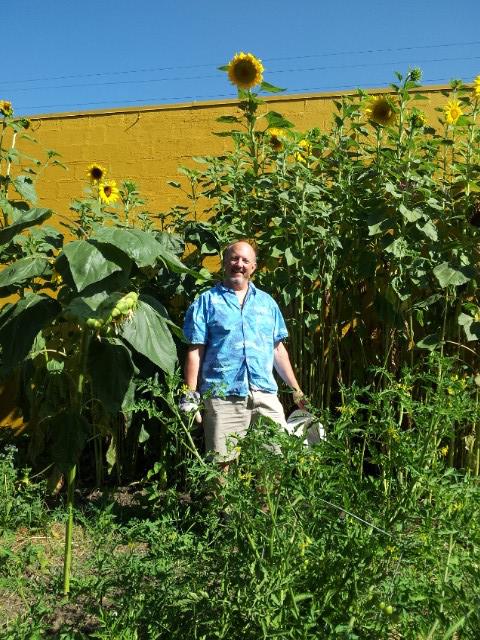 Me and Sunflowers 2013
