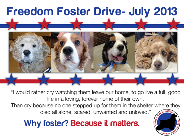 Freedom Foster Drive logo