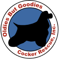 3 OBG Logo 2012.png