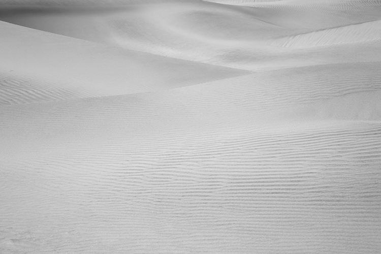 Dunes of Nude No. 82