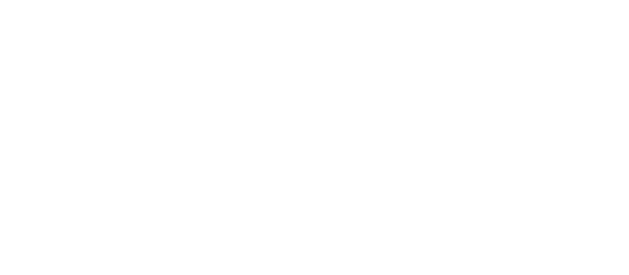 BD logo - white