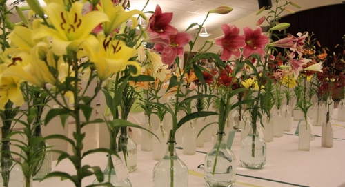 Lilies at a show
