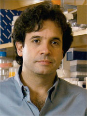 Rudi Tanzi, Ph.D.
