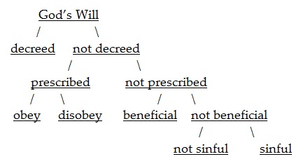 God's Will Chart