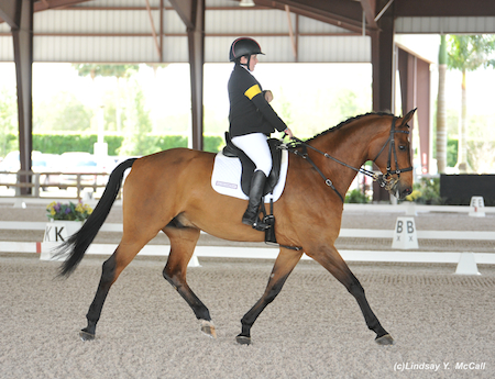 Sydney Collier and Willi Wesley at the 2014 Adequan Global Dressage Festival CPEDI3*. Photo by Lindsay Y. McCall