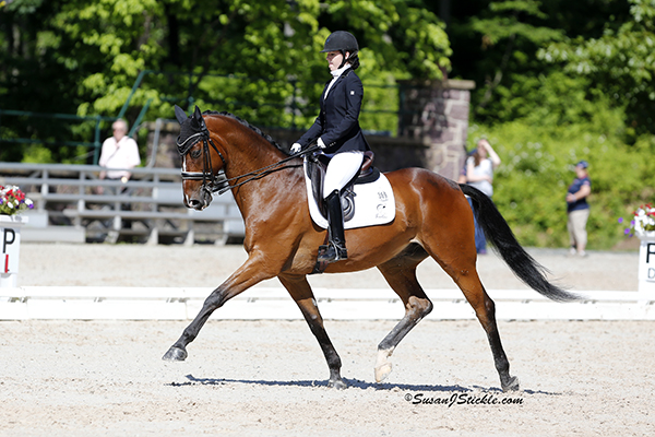 Angela Peavy and Lancelot Warrior (Hannoverian), owned by Rebecca Reno, earned the top Grade III combined score. Photo copyright SusanJStickle.com. Photo is taken in Gladstone, NJ at  the 2014 USEF Para-Equestrian Dressage National Championship/ Selection Trial for the Alltech FEI World Equestrian Games™ (WEG).