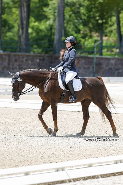 Roxanne Trunnell and Nice Touch (Dutch), owned by Roxanne Trunnell topped the Grade Ia. Photo copyright SusanJStickle.com. Photo is taken in Gladstone, NJ at the 2014 USEF Para-Equestrian Dressage National Championship/ Selection Trial for the Alltech FEI World Equestrian Games™ (WEG).