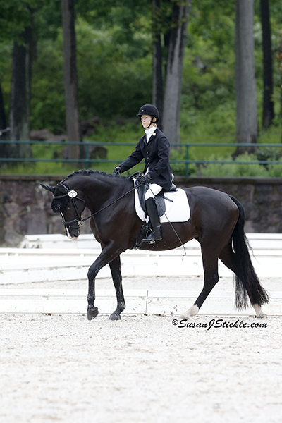 Margaret McIntosh and Rio Rio (Rheinland Pfalz-saar International), owned by Margaret McIntosh earned the USEF Reserve National Championship. Photo copyright SusanJStickle.com. Photo is taken in Gladstone, NJ at the 2014 USEF Para-Equestrian Dressage National Championship/ Selection Trial for the Alltech FEI World Equestrian Games™ (WEG).