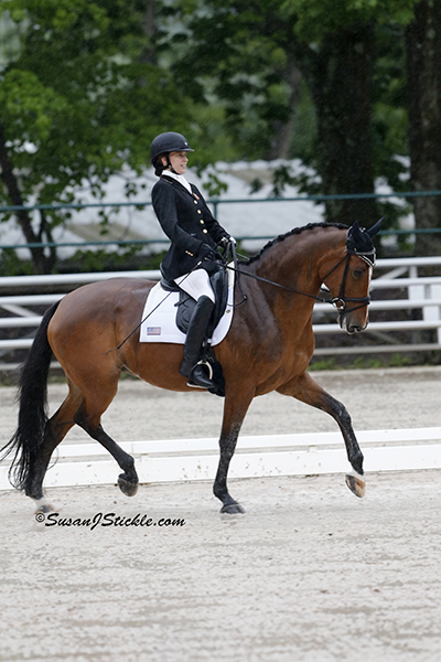 Rebecca Hart (Grade II) earned the 2014 USEF National Championship with Shroeter's Romani, (Danish Warmblood) , owned by Rebecca Hart in conjunction with Margaret Duprey, Cherry Knoll Farm, Sycamore Station Equine Division, Barbara Summer, The Ruffolo's, and Will and Sandy Kimmel. Photo copyright SusanJStickle.com. Photo is taken in Gladstone, NJ at  the 2014 USEF Para-Equestrian Dressage National Championship/ Selection Trial for the Alltech FEI World Equestrian Games™ (WEG).