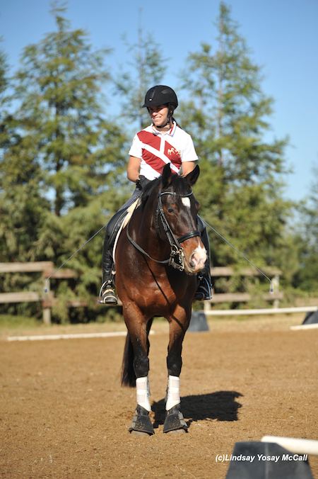 Ashley Flores-Simmons aboard Verite at the 2013 U.S. Para-Dressage Symposium. Photo by Lindsay Y McCall