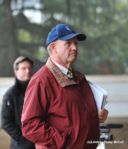 David Schmutz watches the demo rides for each Para-Dressage Ride. Photo by Lindsay Y McCall
